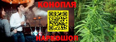 прущие крисы Можга