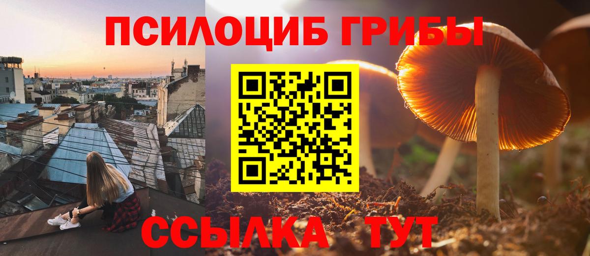 Галлюциногенные грибы Psilocybine cubensis Чайковский